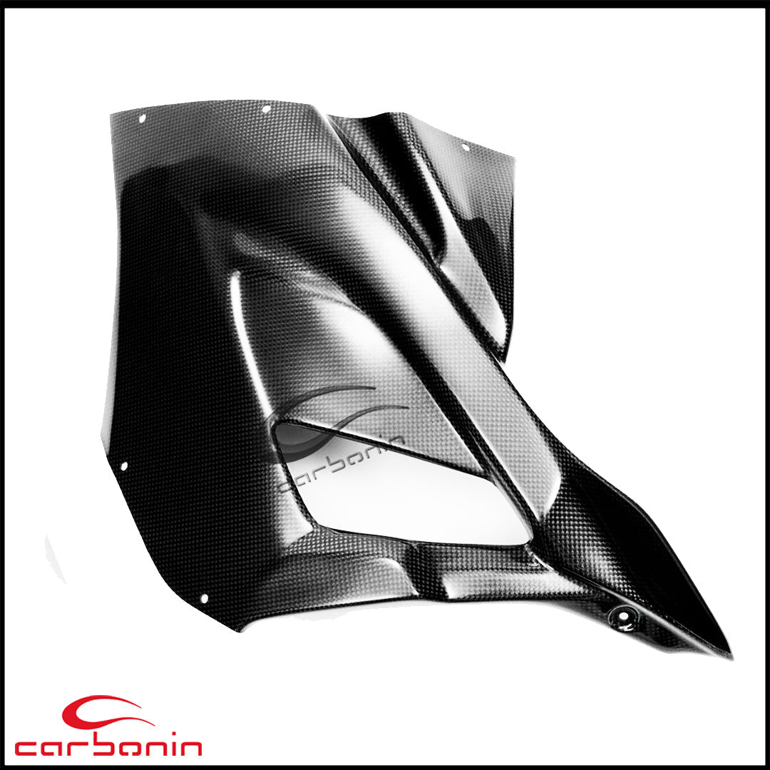 Carena PISTA Completa CARBONIO (inclusi 10 ganci rapidi e cover serbatoio) BMW S1000RR - 2019-
