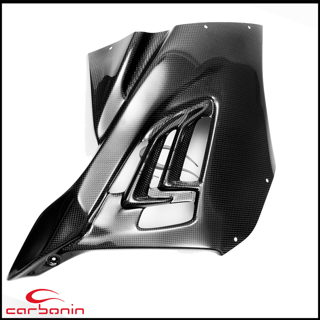 Carena PISTA Completa CARBONIO (inclusi 10 ganci rapidi e cover serbatoio) BMW S1000RR - 2019-