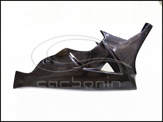 Carena PISTA Completa CARBONIO (inclusi 12 ganci rapidi) BMW S1000RR - 2010-2014