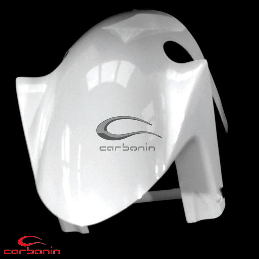 Parafango Anteriore AVIOFIBRA APRILIA RSV4 - TUONO V4