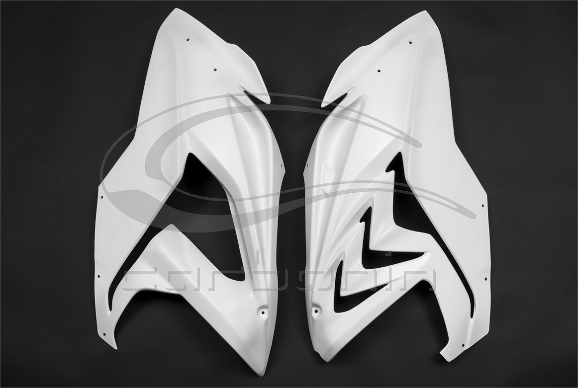 Carena PISTA Completa AVIOFIBRA Radiatore Originale (inclusi 12 ganci rapidi) BMW S1000RR - 2015-2018