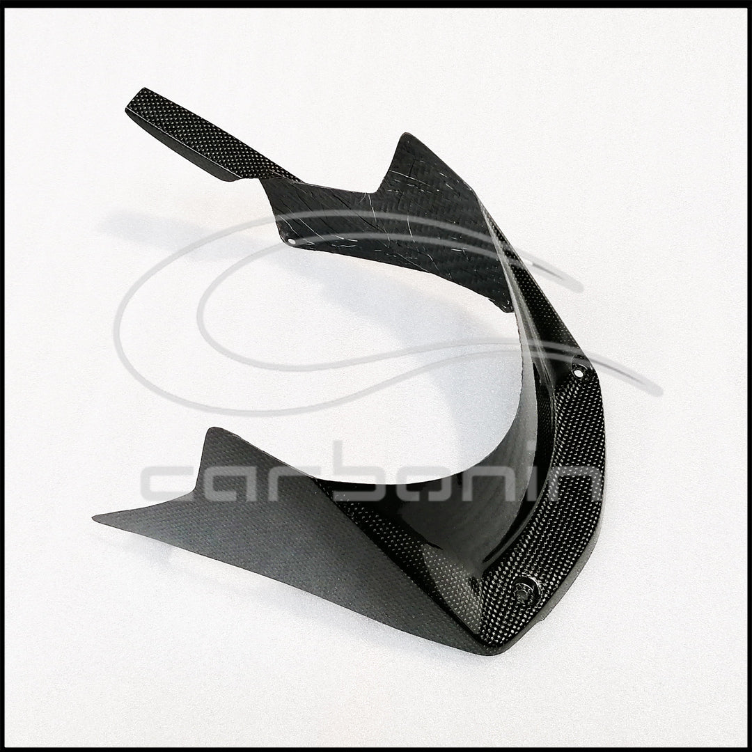 Parafango Posteriore CARBONIO HONDA CBR1000RR-R - 2020-