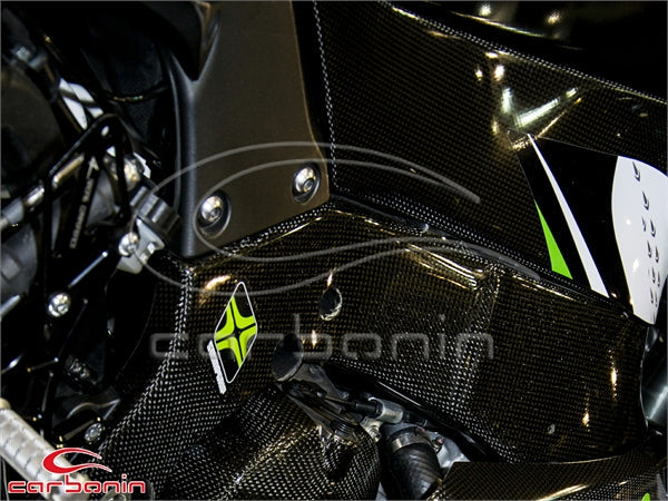 CARENA PISTA COMPLETA SBK (inclusi 12 ganci rapidi) CARBONIO KAWASAKI ZX10R - 2011-2015