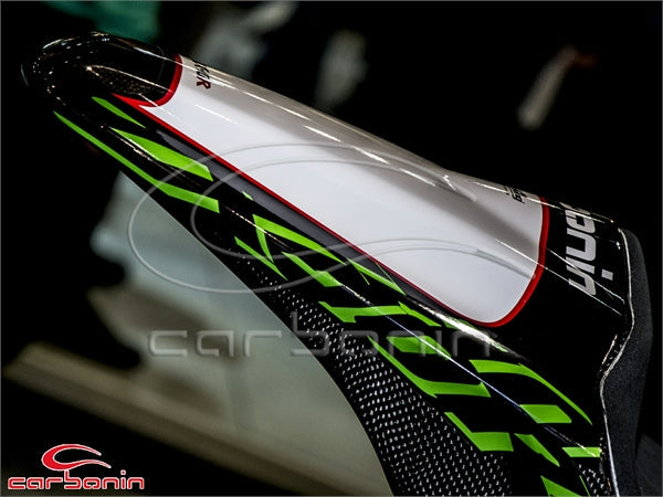 CARENA PISTA COMPLETA SBK (inclusi 12 ganci rapidi) CARBONIO KAWASAKI ZX10R - 2011-2015