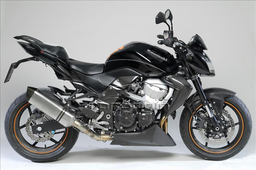 Parafango Anteriore CARBONIO KAWASAKI Z750