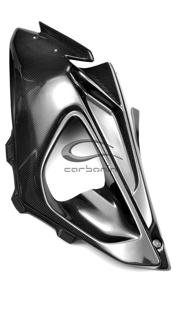 Carena PISTA Completa CARBONIO (inclusi 12 ganci rapidi) BMW S1000RR - 2010-2014