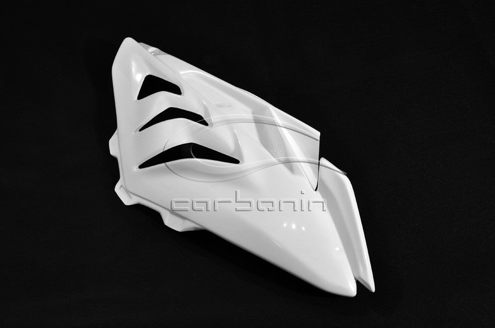 Carena PISTA Completa AVIOFIBRA Scarico Racing BMW S1000RR - 2010-2014