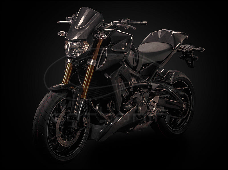 Fianchetti Radiatore CARBONIO YAMAHA MT09 - 2013-2016