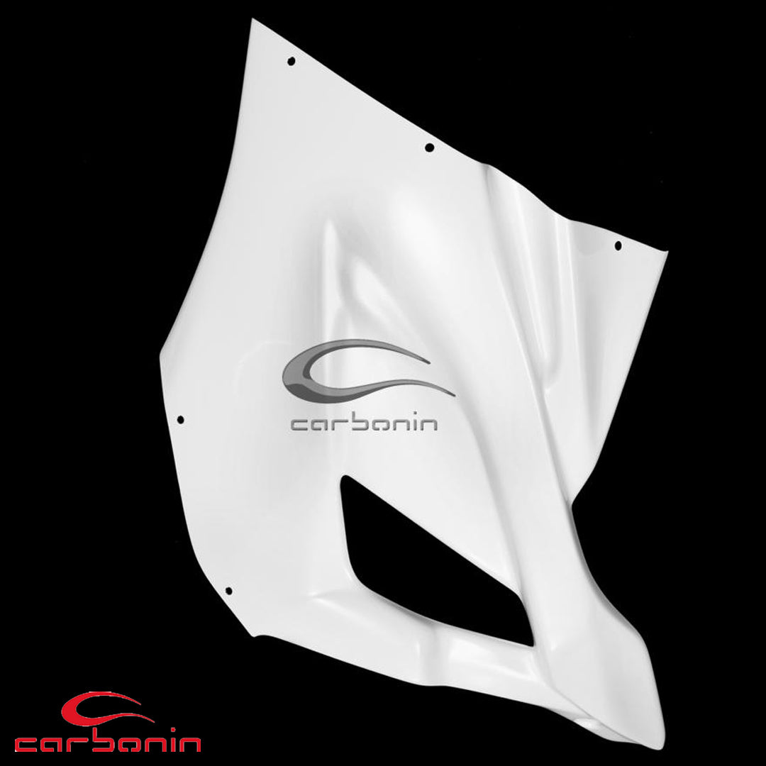 Carena STRADALE Anteriore AVIOFIBRA con supporti faro (inclusi 10 ganci rapidi ) BMW S1000RR - 2019-