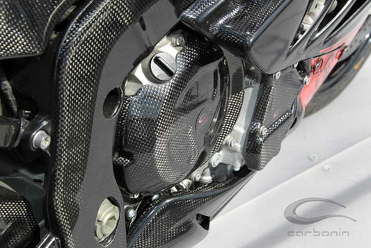 PROTEZIONE CARTER FRIZIONE CARBONIO BMW S1000RR (fissaggio silicone)